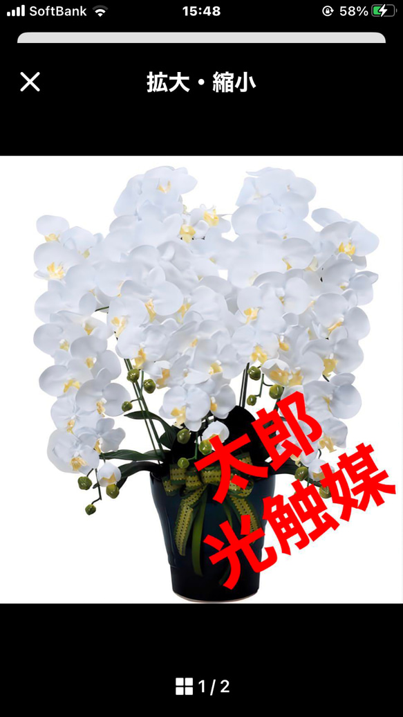 光触媒　人工観葉植物　ウォールグリーン　フェイクグリーン　ロイヤル胡蝶蘭w 2枚目の画像