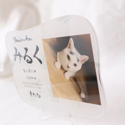 愛するペットへ【クリアメモリアルボード】作成します ペットとの思い出をインテリアとして飾れる！写真・肉球付き 6枚目の画像