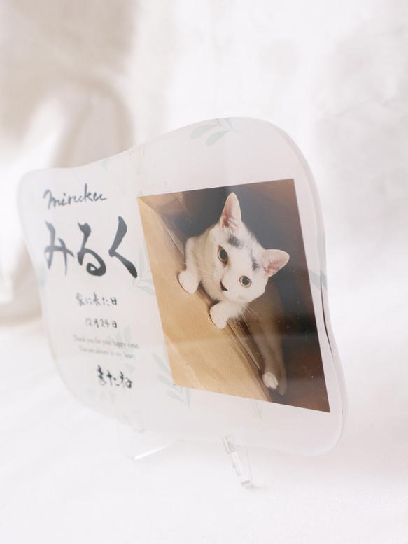 愛するペットへ【クリアメモリアルボード】作成します ペットとの思い出をインテリアとして飾れる！写真・肉球付き 6枚目の画像