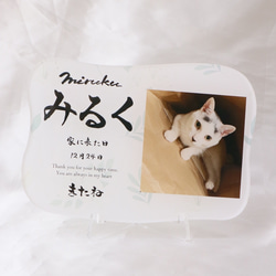 愛するペットへ【クリアメモリアルボード】作成します ペットとの思い出をインテリアとして飾れる！写真・肉球付き 2枚目の画像