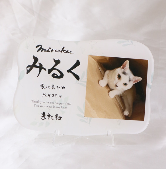 愛するペットへ【クリアメモリアルボード】作成します ペットとの思い出をインテリアとして飾れる！写真・肉球付き 2枚目の画像