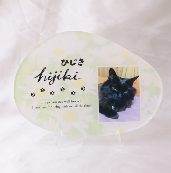 愛するペットへ【クリアメモリアルボード】作成します ペットとの思い出をインテリアとして飾れる！写真・肉球付き 3枚目の画像