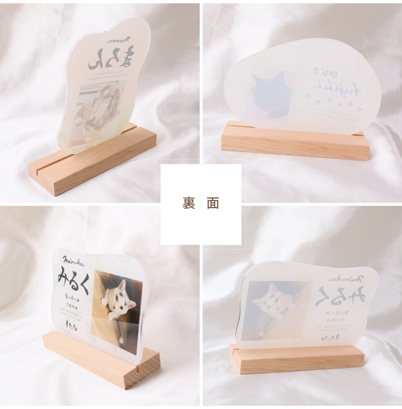 愛するペットへ【クリアメモリアルボード】作成します ペットとの思い出をインテリアとして飾れる！写真・肉球付き 4枚目の画像