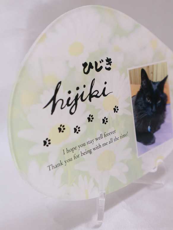 愛するペットへ【クリアメモリアルボード】作成します ペットとの思い出をインテリアとして飾れる！写真・肉球付き 7枚目の画像