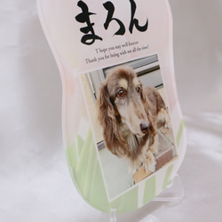 愛するペットへ【クリアメモリアルボード】作成します ペットとの思い出をインテリアとして飾れる！写真・肉球付き 10枚目の画像