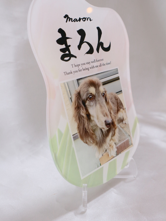 愛するペットへ【クリアメモリアルボード】作成します ペットとの思い出をインテリアとして飾れる！写真・肉球付き 10枚目の画像