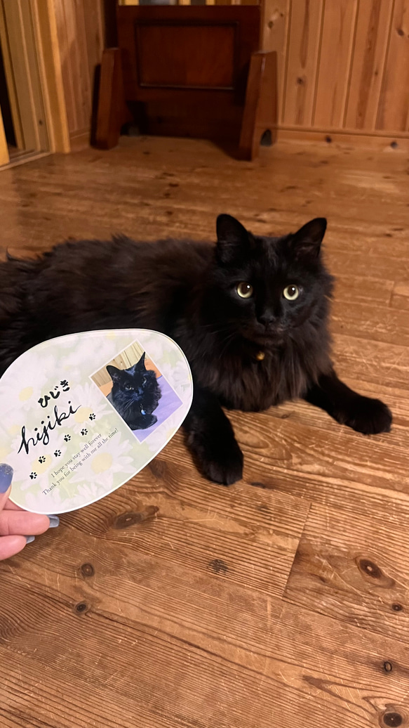 愛するペットへ【クリアメモリアルボード】作成します ペットとの思い出をインテリアとして飾れる！写真・肉球付き 16枚目の画像