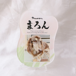 愛するペットへ【クリアメモリアルボード】作成します ペットとの思い出をインテリアとして飾れる！写真・肉球付き 9枚目の画像