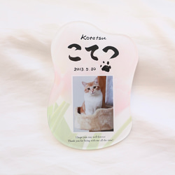 愛するペットへ【クリアメモリアルボード】作成します ペットとの思い出をインテリアとして飾れる！写真・肉球付き 12枚目の画像