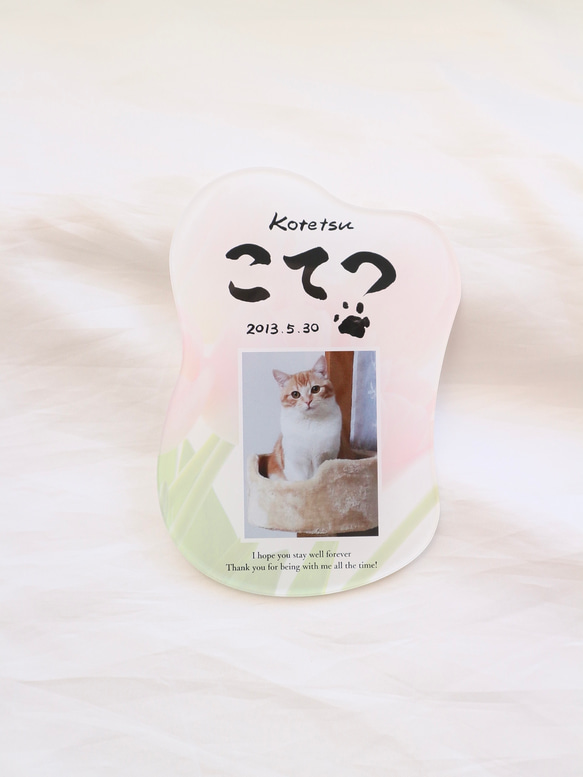 愛するペットへ【クリアメモリアルボード】作成します ペットとの思い出をインテリアとして飾れる！写真・肉球付き 12枚目の画像