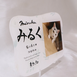 愛するペットへ【クリアメモリアルボード】作成します ペットとの思い出をインテリアとして飾れる！写真・肉球付き 5枚目の画像