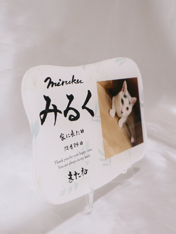 愛するペットへ【クリアメモリアルボード】作成します ペットとの思い出をインテリアとして飾れる！写真・肉球付き 5枚目の画像