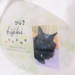 愛するペットへ【クリアメモリアルボード】作成します ペットとの思い出をインテリアとして飾れる！写真・肉球付き 8枚目の画像