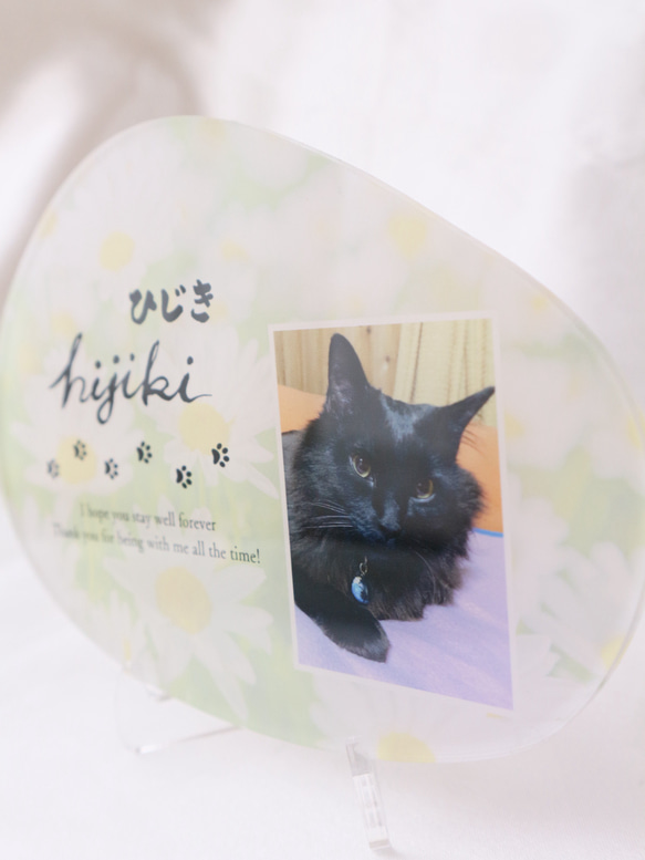 愛するペットへ【クリアメモリアルボード】作成します ペットとの思い出をインテリアとして飾れる！写真・肉球付き 8枚目の画像