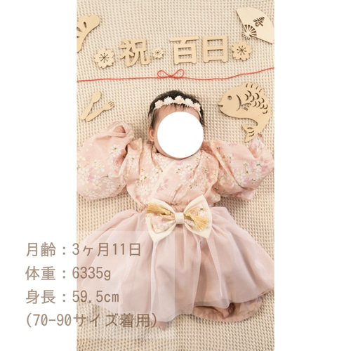 【ベビー袴】桜 アイボリー/くすみブルー 70-80 ベビー袴】桜 アイボリー/くすみブルー 70-80 楽天市場】袴