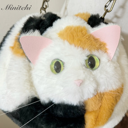 ぬいぐるみみたいな 香箱座りの三毛猫さん巾着バッグ　トート　ミニショルダー　ポシェット 猫雑貨　猫グッズ　リアル　 9枚目の画像