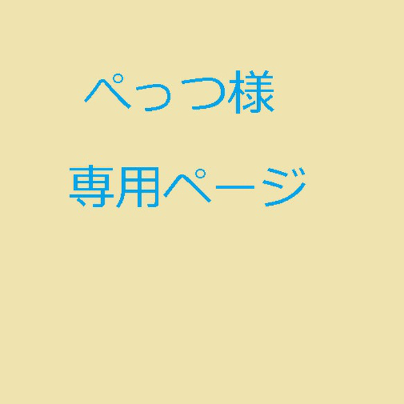 ぺっつ様専用ページ 1枚目の画像