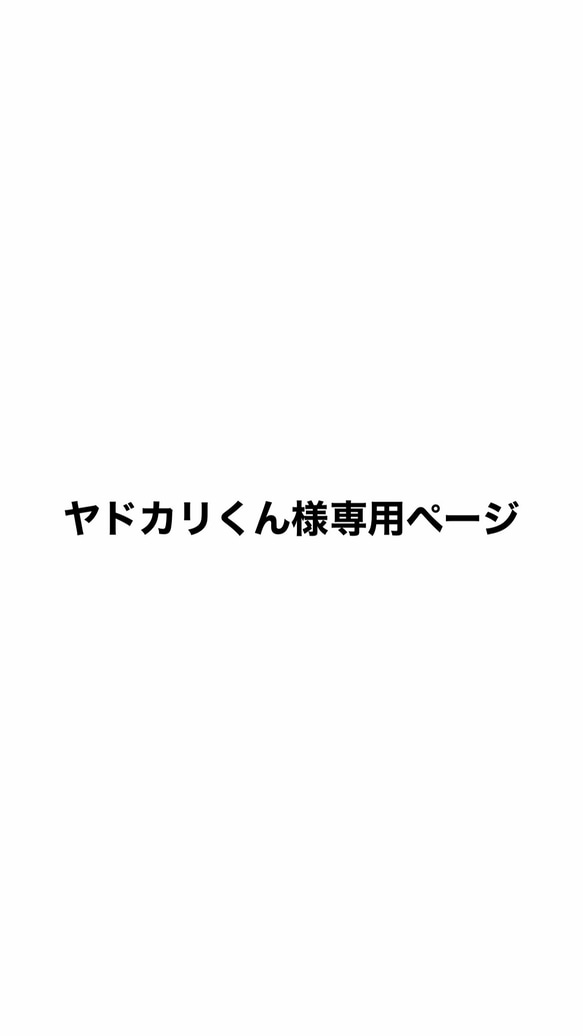 ヤドカリくん様専用ページです。 1枚目の画像