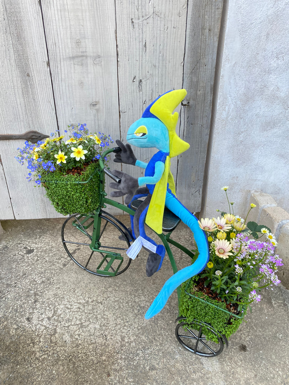 唯一無二！！！ベビーティアーズの三輪車にいろいろなお花を寄せ植え♬ 4枚目の画像