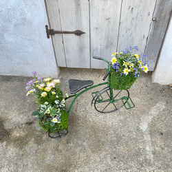 唯一無二！！！ベビーティアーズの三輪車にいろいろなお花を寄せ植え♬ 2枚目の画像