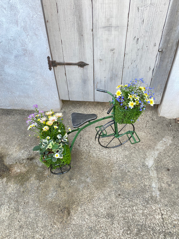 唯一無二！！！ベビーティアーズの三輪車にいろいろなお花を寄せ植え♬ 2枚目の画像