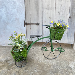 唯一無二！！！ベビーティアーズの三輪車にいろいろなお花を寄せ植え♬ 3枚目の画像