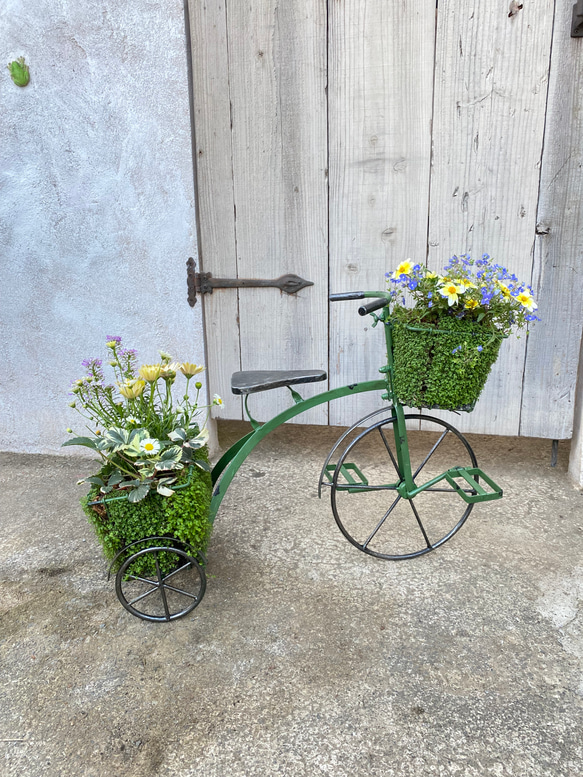 唯一無二！！！ベビーティアーズの三輪車にいろいろなお花を寄せ植え♬ 3枚目の画像
