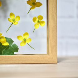 春の菜の花畑✳︎フレームアレンジメント　 5枚目の画像