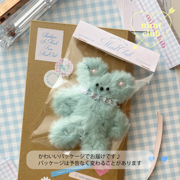 韓国大人気のかわいいモール人形　DIY♪手作りキット☆ミンク・ミントグリーン　　モールドール 4枚目の画像