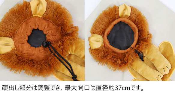 ペットキャリーバッグ 顔出し ライオン刺繍 犬 猫 手持ち 手提げ ペットキャリー ペット 小型 中型 ch-950 8枚目の画像