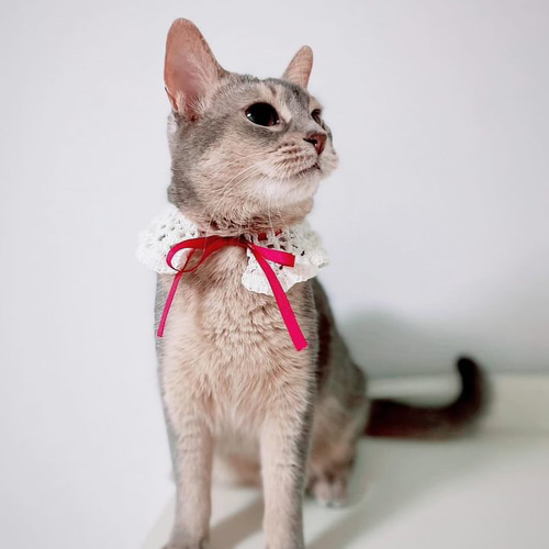 選べる3色 ペット用かぎ編みスタイ ビブ つけ襟 犬 猫