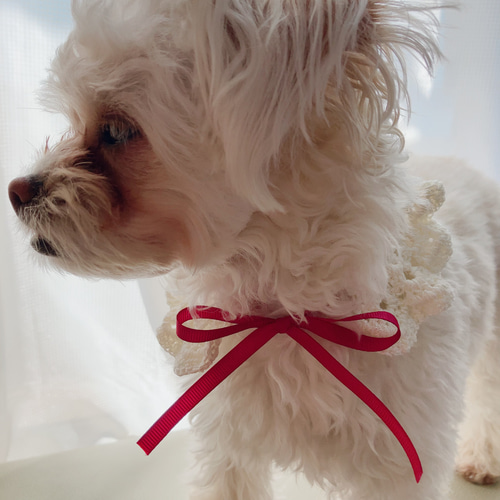 ハンドメイド　わんこビブ　つけ襟　スタイ 選べる4色 ペット用かぎ編みスタイ ・ビブ つけ襟 犬 猫