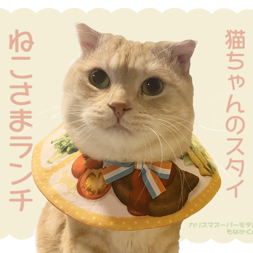 猫ちゃんのスタイ】ねこさまランチ ペット服・アクセサリー けまみRe 