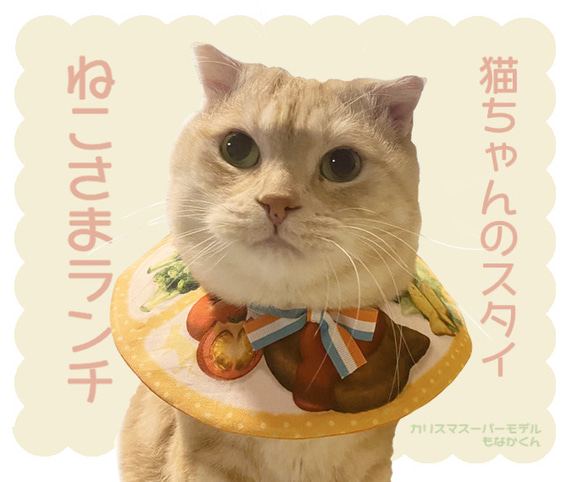 【猫ちゃんのスタイ】ねこさまランチ 1枚目の画像