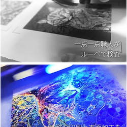 Japanese Luster 華03【インチ額】／猫　ねこ　特殊印刷　特殊紙　額装付き　グラフィックアート　インテリア 7枚目の画像