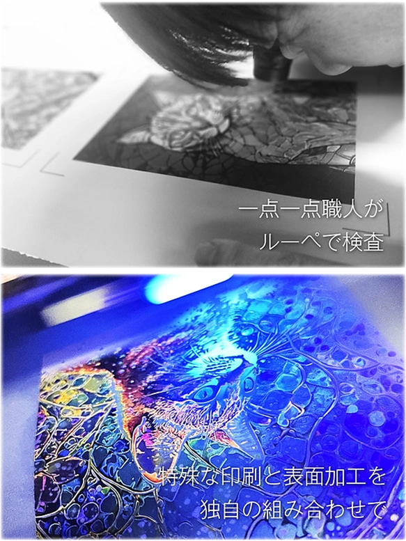Japanese Luster 華03【インチ額】／猫　ねこ　特殊印刷　特殊紙　額装付き　グラフィックアート　インテリア 7枚目の画像