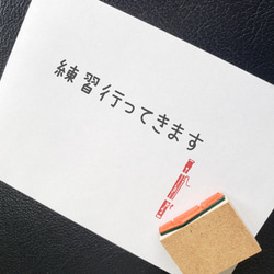 新デザイン！ アクリル津軽三味線撥（バランス変更可能）桜刻印 楽器