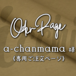 a-chanmama 専用特設ーページ｜ジッパータブ 15点 1枚目の画像