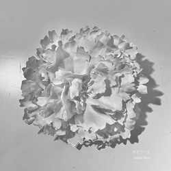 ４２  白い芍薬 1枚目の画像