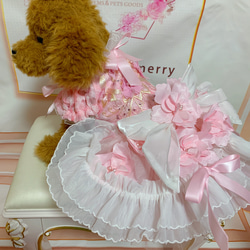 犬猫うさちゃん服　2着限定♡お花満開ピンク色ドレス 2枚目の画像