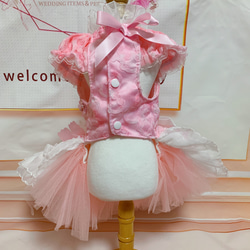 犬猫うさちゃん服　2着限定♡お花満開ピンク色ドレス 9枚目の画像