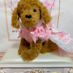 犬猫うさちゃん服　2着限定♡お花満開ピンク色ドレス 16枚目の画像