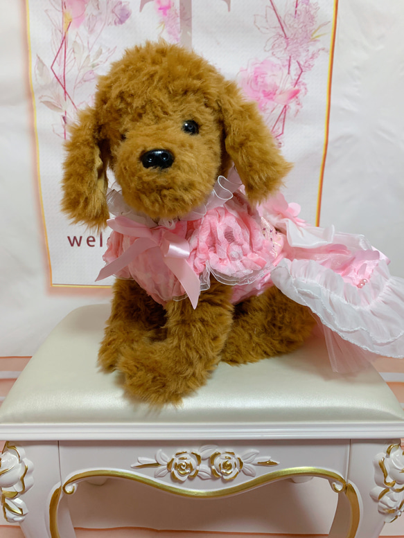 犬猫うさちゃん服　2着限定♡お花満開ピンク色ドレス 5枚目の画像