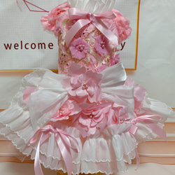 犬猫うさちゃん服　2着限定♡お花満開ピンク色ドレス 6枚目の画像