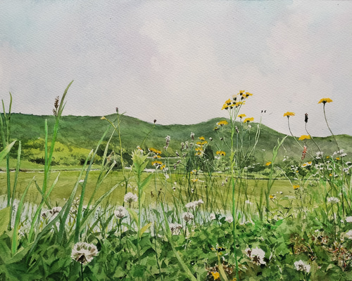 絵画 水彩画 風景画 画題「田園を眺める」 絵画 yamakasumi56