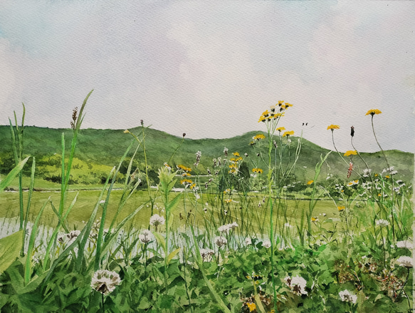 絵画 水彩画 風景画 画題「田園を眺める」 絵画 yamakasumi56