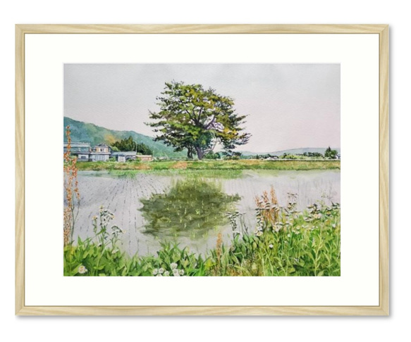 絵画　水彩画　風景画　画題「松川の一本松」 2枚目の画像