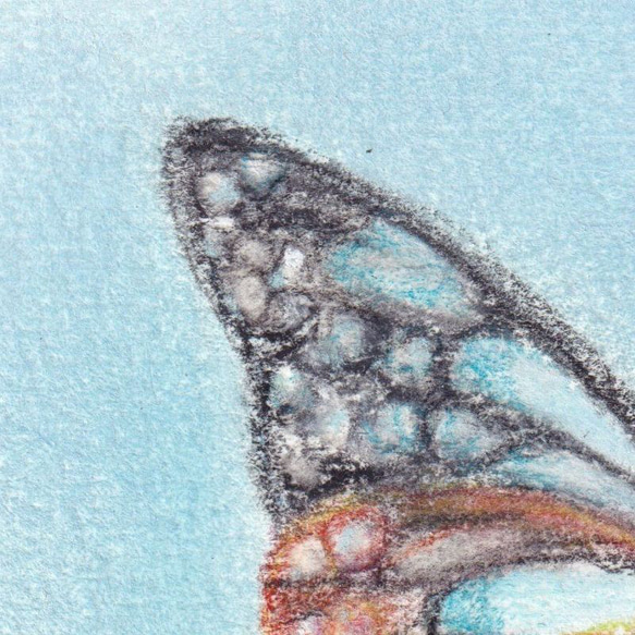 旅する蝶（パステル画　原画）額装込み 2枚目の画像