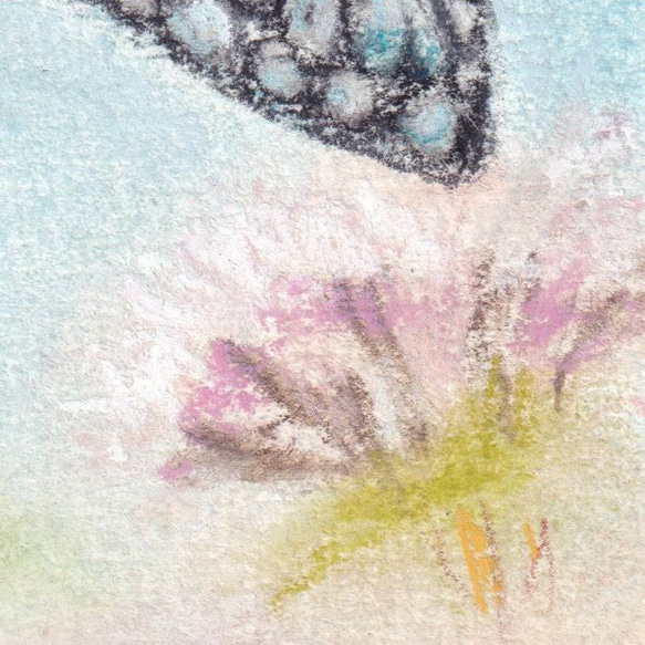 旅する蝶（パステル画　原画）額装込み 5枚目の画像