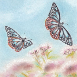 旅する蝶（パステル画　原画）額装込み 8枚目の画像